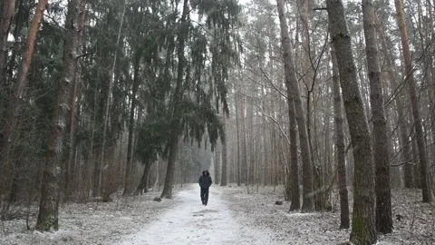 A man walks along a forest path in snowfall on camera, pine forest, slow motion Stock Footage 127575745