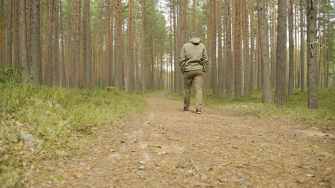 A man walks along a forest path in a coniferous forest. Back view. Stockbeeldmateriaal 197349015