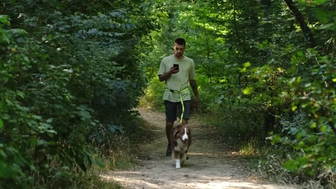 A man walks along a forest path with his Australian Shepherd dog while speaking Stock Footage 343852540