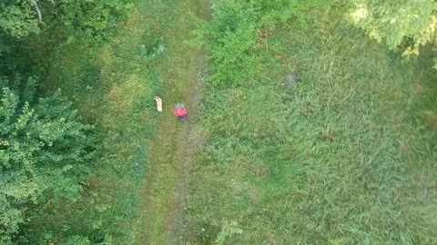 A man walks along a forest trail. A dog runs nearby. Stockbeeldmateriaal 112975283