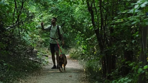 A man walks along a forest trail with his German Shepherd and records the Stock Footage 341959843