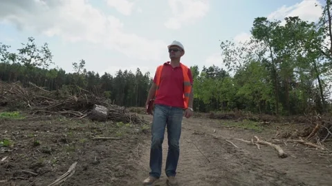 Man walks along logging site and inspects territory holding tablet Stock Footage 163672283