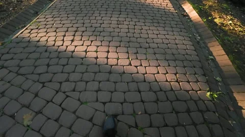 	A man walks along a park path made of cobblestones in the rays of the sun. Stock Footage 316524939