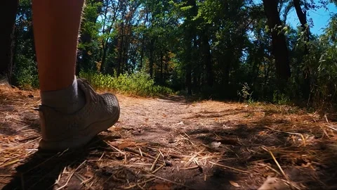 Man walks along the path Stock-Footage 238399732