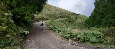 A man walks along a path on his way to hike through the Twin Lakes Lagoon Stock Footage 320976486