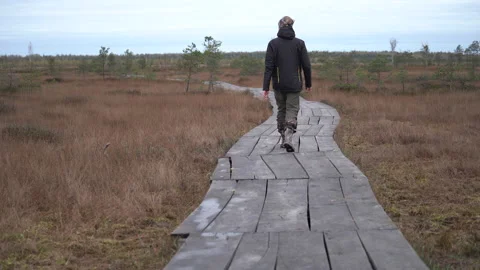 Man walks along a path made of planks in swampy area at overcast day, back view. Video stock 161620743