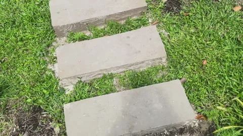 Man walks along paved concrete blocks track to Asian gazebo Stock Footage 308917155