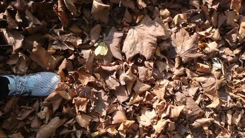 A man walks along a road with dry autumn leaves Stock Footage 118715134