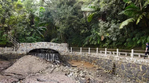 Man walks around man made pool under restoration at El Yunque Rainforest Stock Footage 24620548