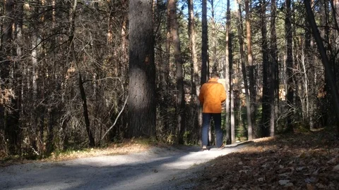 A man walks in the autumn forest. Stock Footage 117801477