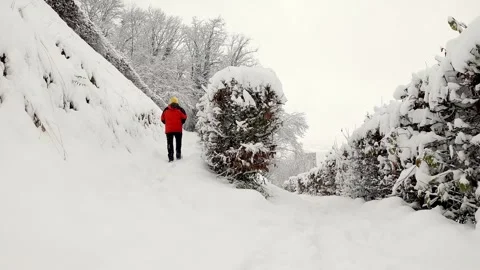 Man Walks Away Along Deep Snowy Woodland Path In Winter Stock Footage 340987826