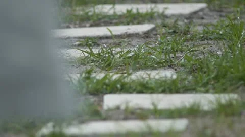 Man walks away from the camera on a path Vidéo 11217200