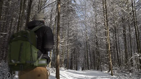 Man walks away down forest path as snow falls from trees in sunlight Video stock 121014782