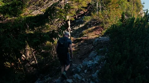 A man walks with a backpack in the forest Stock Footage 202639182
