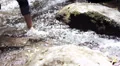 man walks barefoot in the branch - water - stream - river - creek HD Footage
