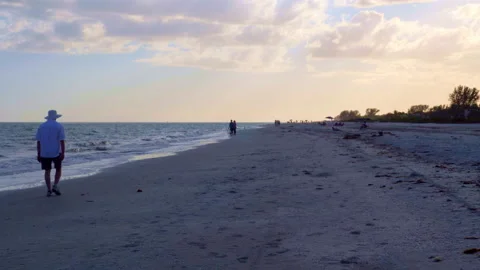 Man walks beach at dusk Stock Footage 149600666
