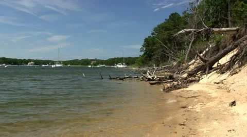 Man walks beach Stock Footage 12202505
