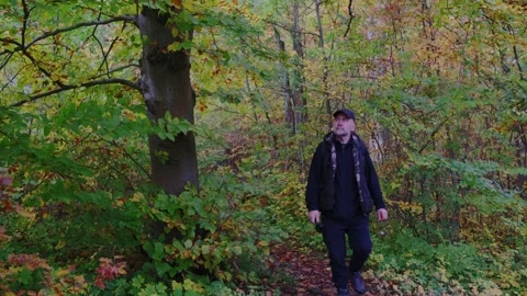 A man walks beneath a large and fallen tree branch in a vibrant autumn forest Stock Footage 337787389