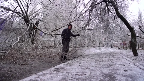 Man walks between branches fallen tree on road. Natural disaster icing snow Vidéo 168333913