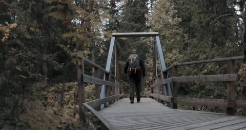 Man walks on a bridge in the Swedish forest slowmotion 120 fps Stock Footage 218982843