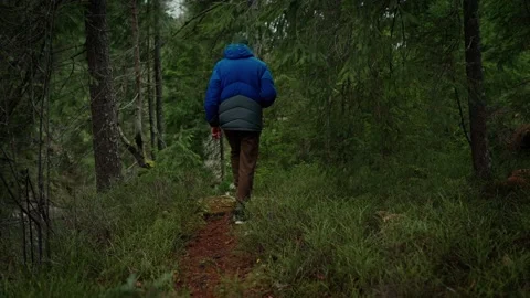 A man walks in a dense green forest Stock Footage 195164294