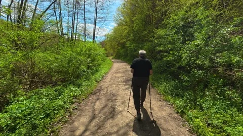 Man walks on dirt path, using hiking poles. Balkan, Eastern Europe, POV Vidéo 333588611