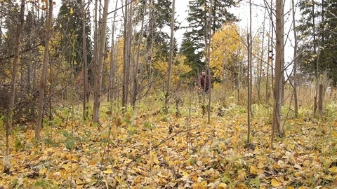 A Man walks with dog Stock Footage 81124527