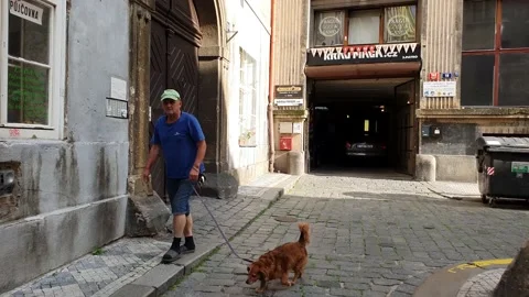 A man walks with a dog in the old town. Stock Footage 166405507