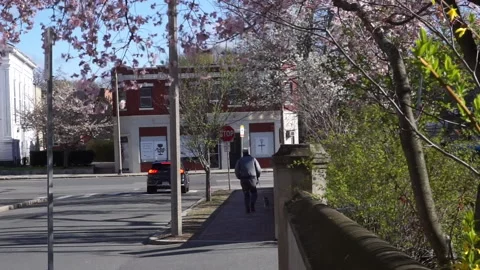MAN WALKS DOG IN SPRING Stock Footage 194022600