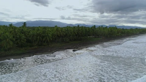 Man walks down driftwood covered tropical beach pulling to wide angle, Stock Footage 158520847