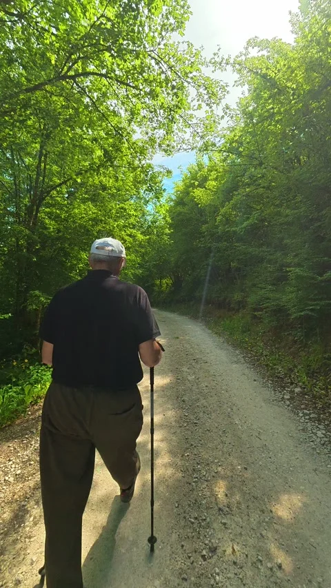 Man walks down forest path with trekking poles. Vrmdza Lake, Serbia. Vertical Vídeos de archivo 338030188
