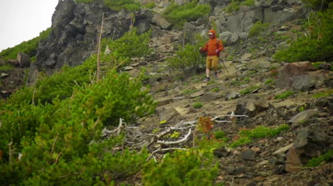 Man walks down hill Stock Footage 59519423