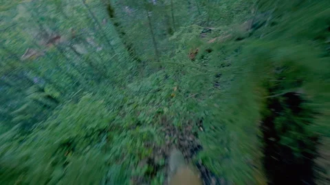 A man walks down a steep slope to the river. From the first person. Stock Footage 313360113