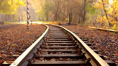 A man walks down train tracks on a background golden Autumn forest. A man Stock Footage 83342868