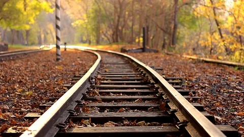 A man walks down train tracks on a background golden Autumn forest. A man Stock Footage 83351924