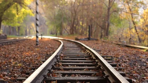 A man walks down train tracks on a background golden Autumn forest. A man Stock Footage 83369413