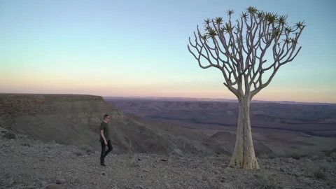 Man walks on the edge of canyon. Sunset in Africa. Quiver tree forest. 스톡 동영상 168773602