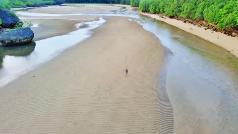 A man walks in an estuary river Video stock 274724203