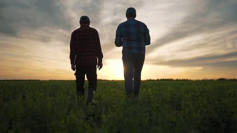 Man walks field with farmer in boots. Crop grows under feet, laptop under arm Stock Footage 346171273
