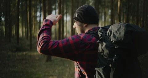 Man walks in the forest, with a backpack. Back View of Walking Person. Adventure Stock Footage 128524838