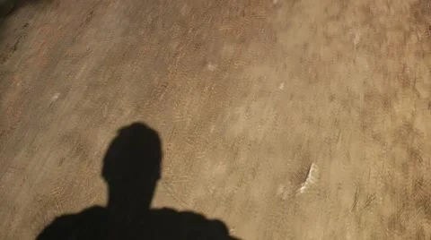 Man walks in the forest. Vídeos de archivo 49902630