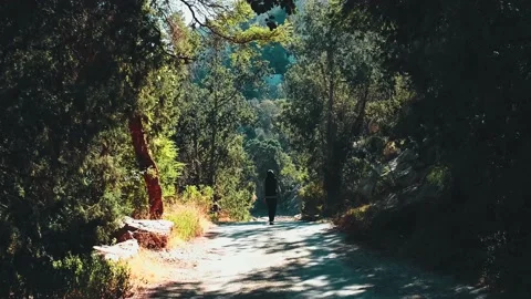 Man walks into a forest 스톡 동영상 210549324