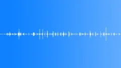 Man walks on a forest path 1Sound Effect