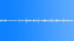 Man walks on a forest path 2Sound Effect