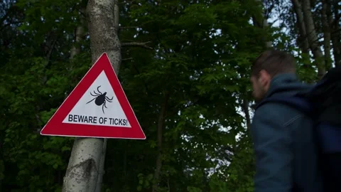 A man walks into a forest where a warning sign hangs on a tree Beware of ticks Stock Footage 132358638