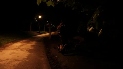 A man walks with a German and Australian Shepherd in a quiet park at night under Stock Footage 319383992