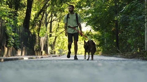 A man walks with his German Shepherd along a quiet shaded road framed by dense Stock Footage 341960160