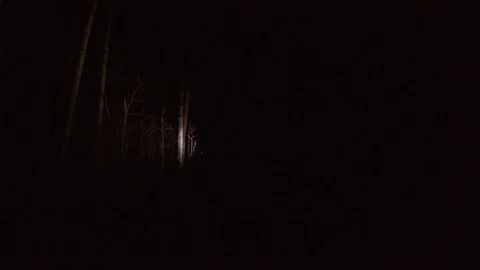 A man walks with a lantern in a dark forest Stock-Footage 88880302