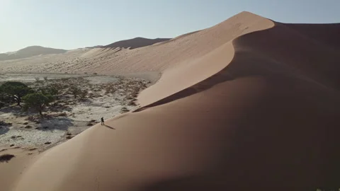 A man walks on largest sand dune Namibia Stock Footage 265243329