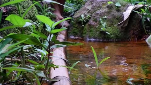 A man walks on a log through a puddle. Video stock 137556703